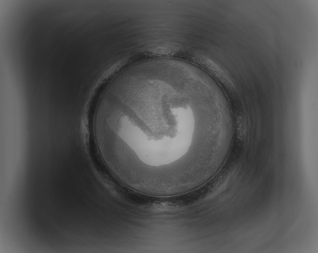 X0000100480634200806271203