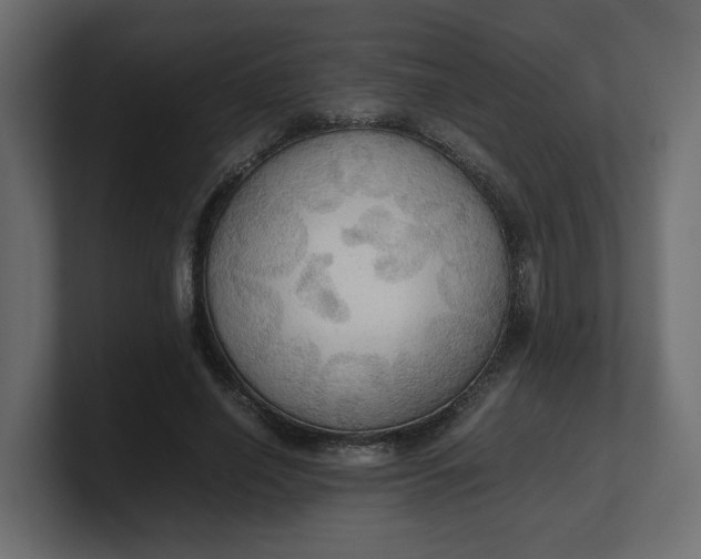 X0000100480638200806271203