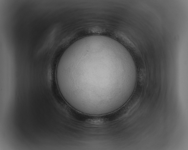 X0000100480639200806271203