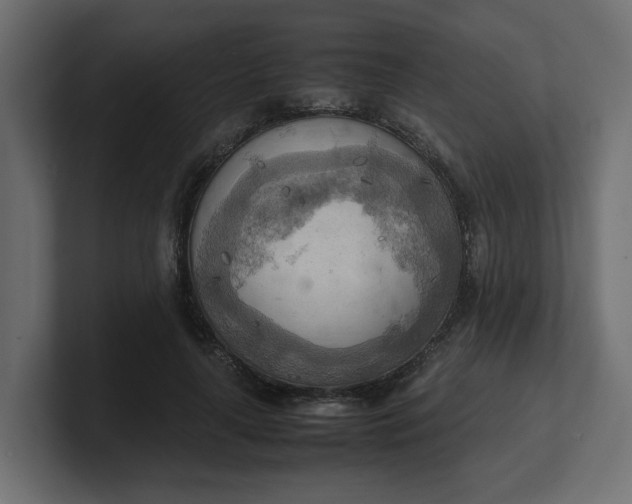 X0000100480643200806271203