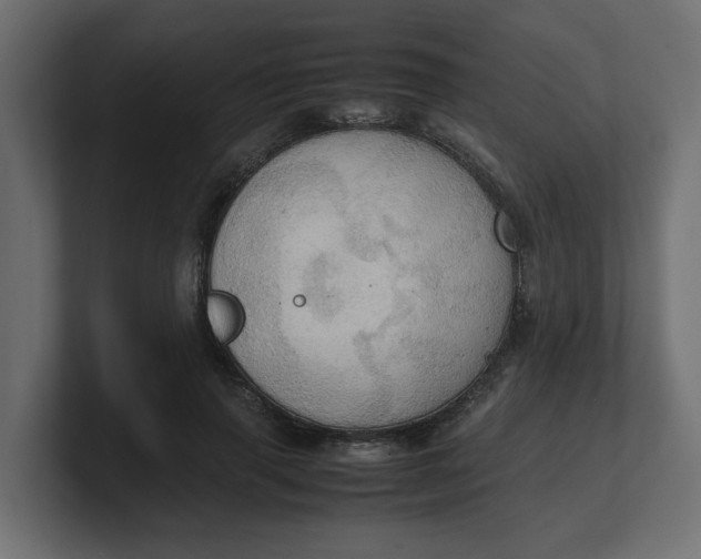 X0000100480645200806271203