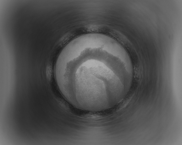 X0000100480648200806271203