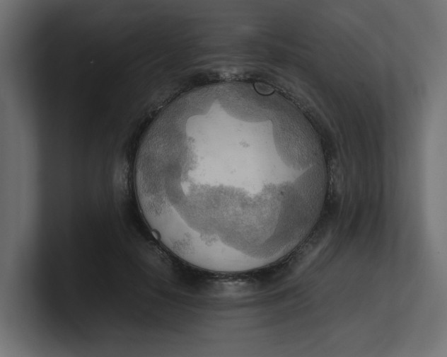 X0000100480650200806271203