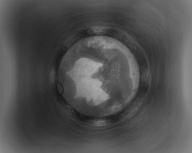 X0000100480651200806271203