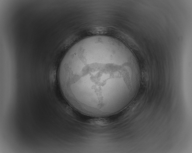 X0000100480652200806271203