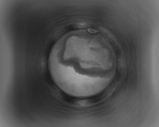 X0000100480653200806271203