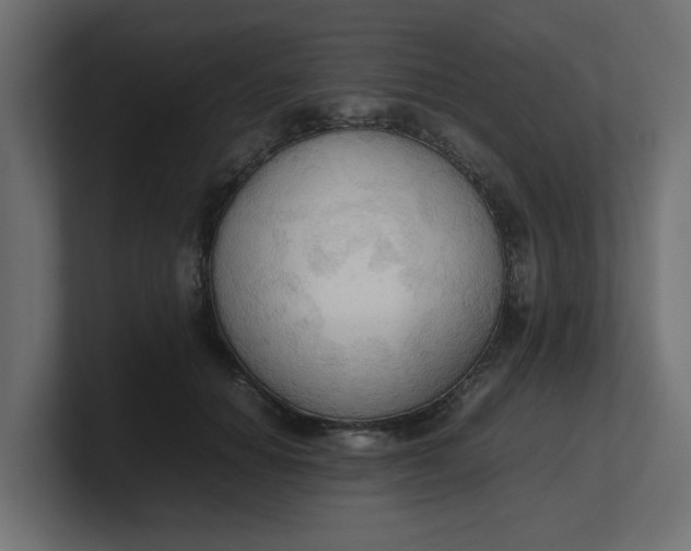 X0000100480654200806271203