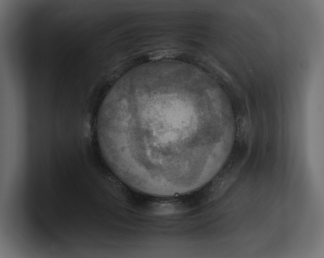 X0000100480655200806271203