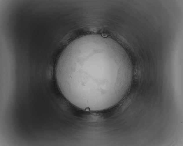 X0000100480656200806271203