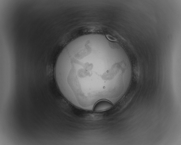 X0000100480657200806271203