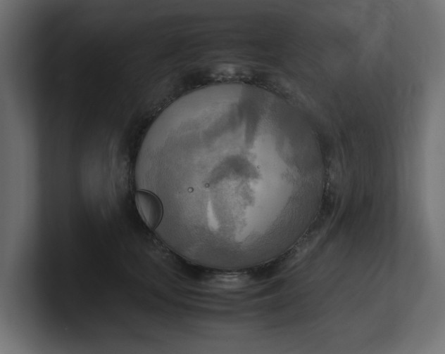 X0000100480659200806271203