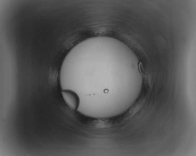 X0000100480660200806271203