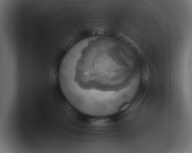 X0000100480661200806271203
