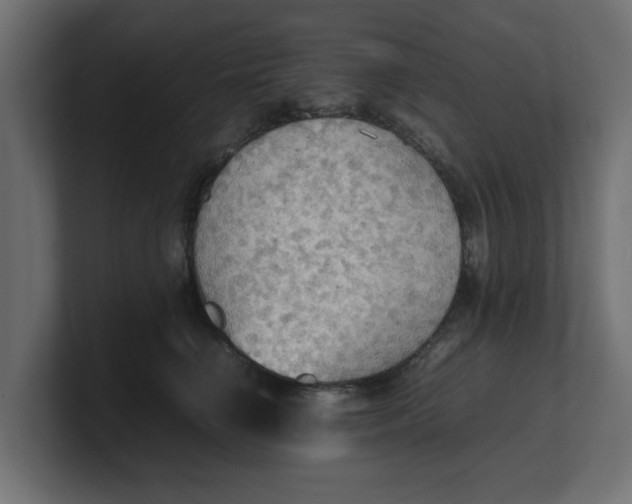 X0000100480662200806271203