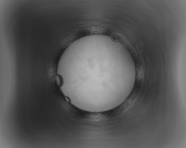 X0000100480666200806271203