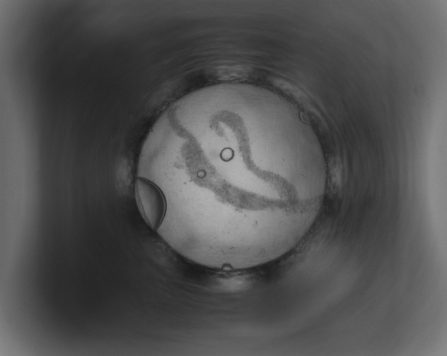 X0000100480667200806271203