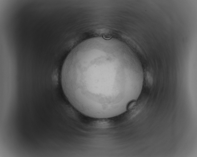 X0000100480668200806271203