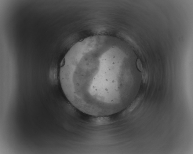 X0000100480670200806271203