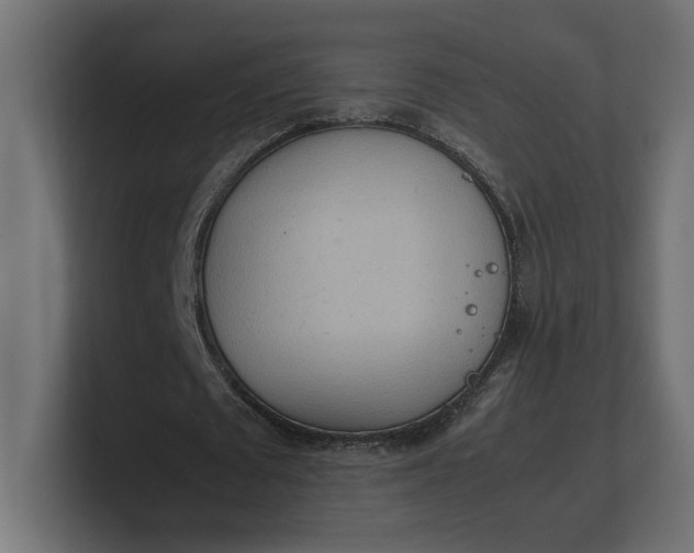 X0000100480673200806271203
