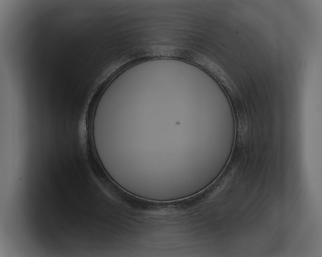 X0000100480674200806271203