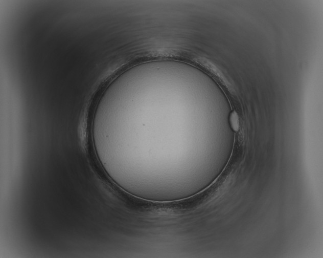 X0000100480677200806271203
