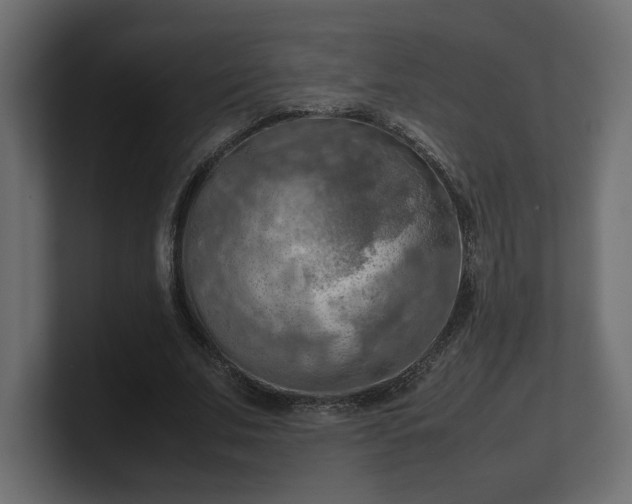 X0000100480679200806271203