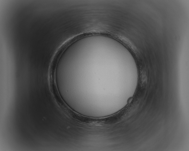 X0000100480680200806271203