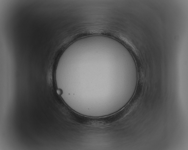 X0000100480681200806271203