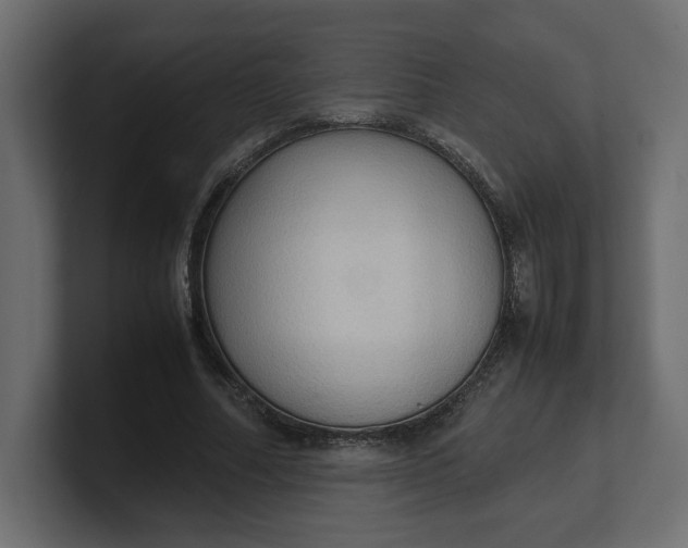 X0000100480682200806271203