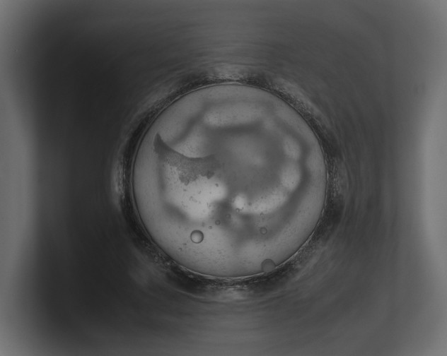 X0000100480683200806271203