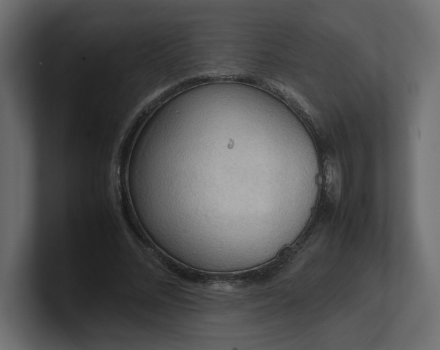 X0000100480684200806271203