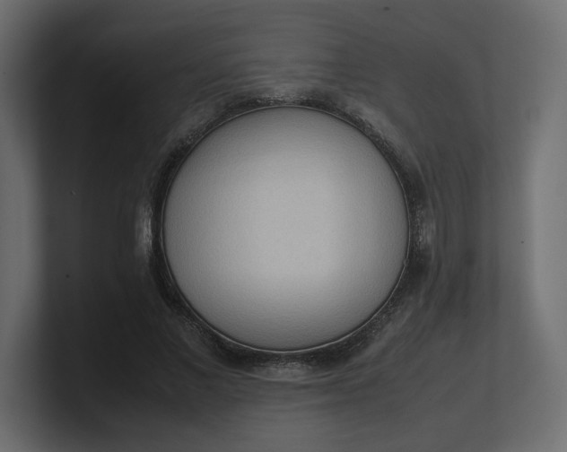 X0000100480685200806271203