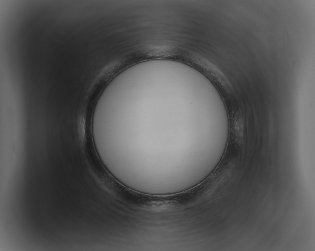 X0000100480686200806271203
