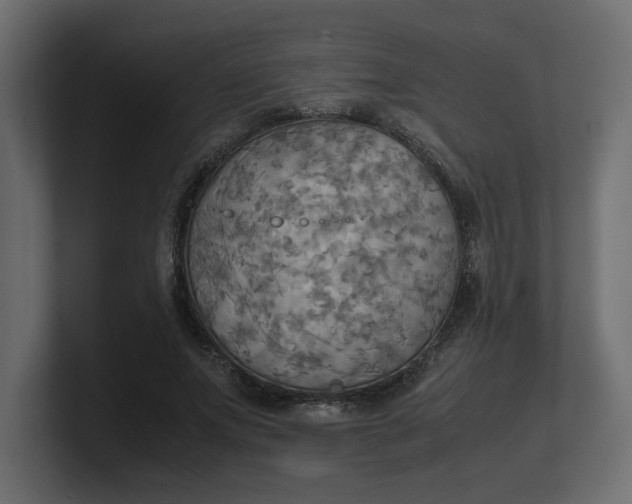 X0000100480687200806271203
