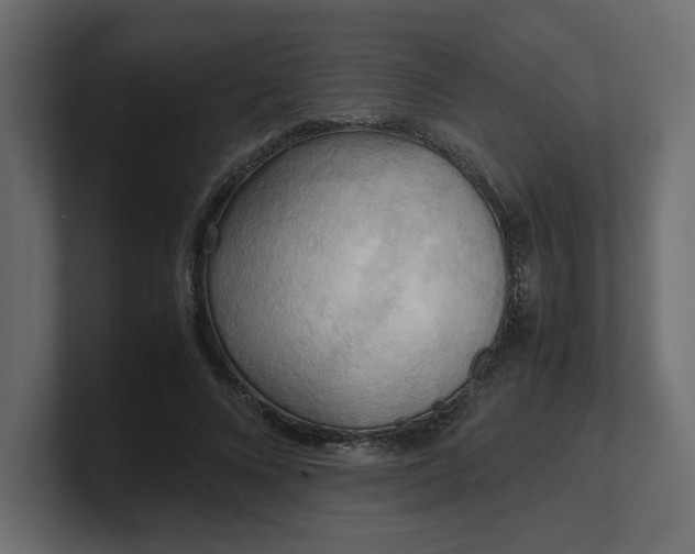 X0000100480688200806271203