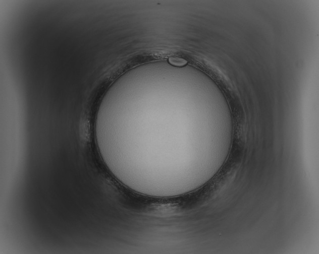X0000100480689200806271203