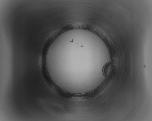 X0000100480690200806271203
