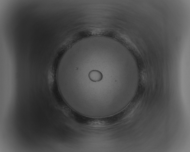 X0000100480691200806271203