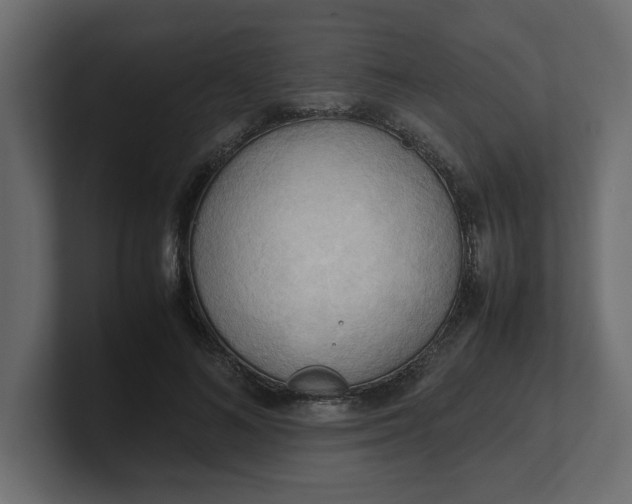 X0000100480692200806271203