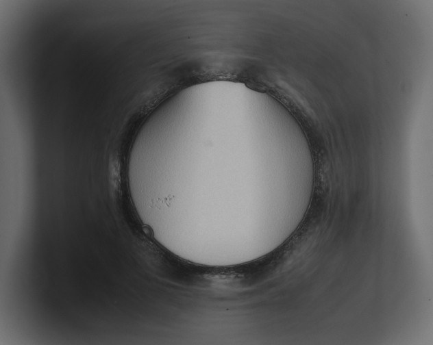 X0000100480693200806271203