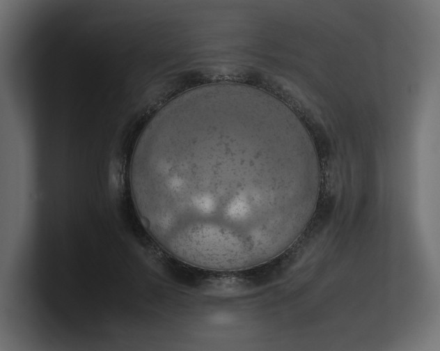 X0000100480695200806271203
