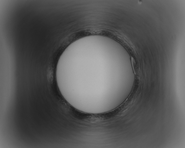 X0000100480697200806271203