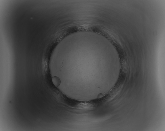 X0000100480699200806271202