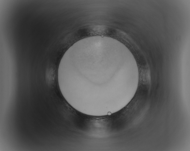 X0000100480701200806271202
