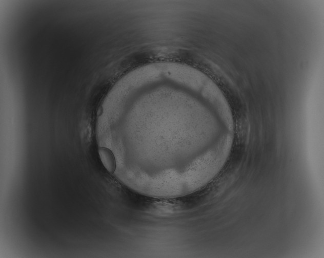 X0000100480703200806271202