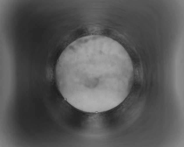 X0000100480705200806271202