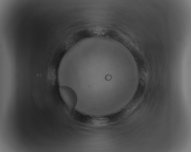 X0000100480707200806271202