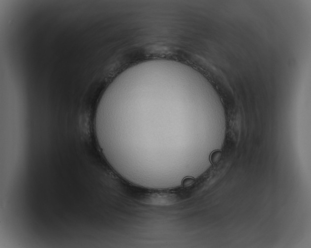 X0000100480708200806271202