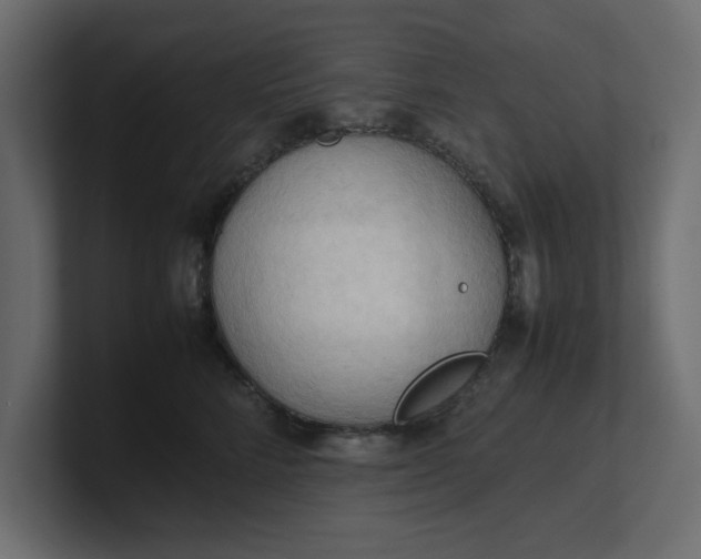 X0000100480712200806271202