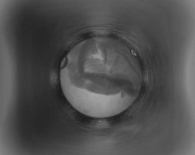 X0000100480715200806271202